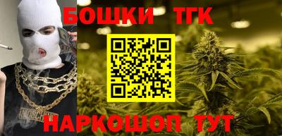 Альфа ПВП Будённовск