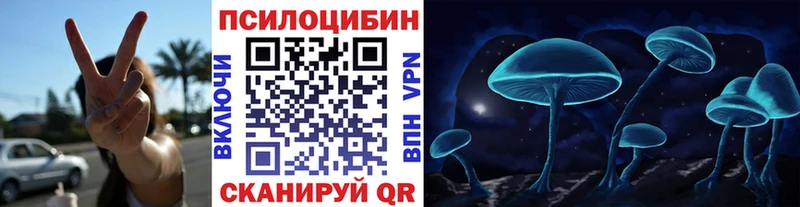 где купить   Ипатово  Псилоцибиновые грибы Psilocybine cubensis 