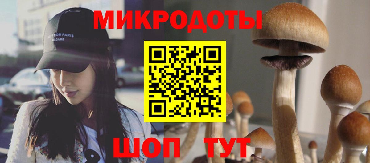 Псилоцибиновые грибы MAGIC MUSHROOMS  Вход с VPN  Ипатово 