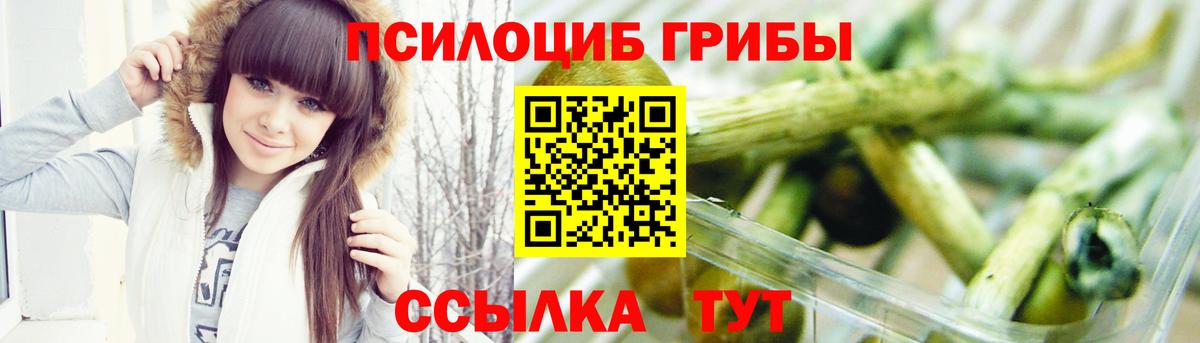 Галлюциногенные грибы прущие грибы Ипатово